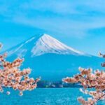 Work & Travel Programm in Japan: Erfahrungen fürs Leben